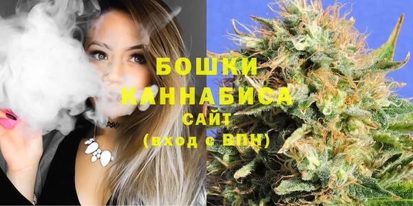 дживик Верхний Тагил