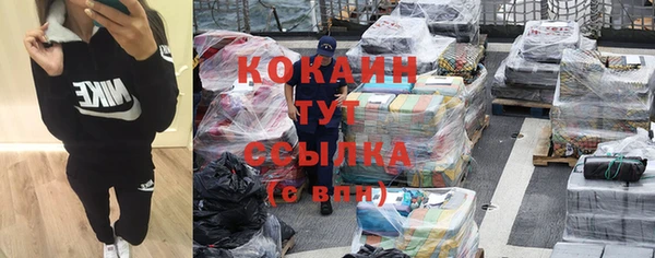 дживик Верхний Тагил