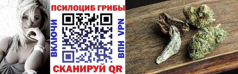 Купить  Рыльск  Галлюциногенные грибы мухоморы 