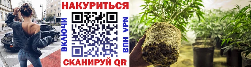 Бошки марихуана SATIVA & INDICA  Купить закладки  Рыльск 